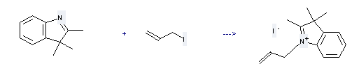  iodure de 1-allyl 2,3,3-trimethylindoleninium can be prepared by 2,3,3-trimethyl-3H-indole and 3-iodo-propene